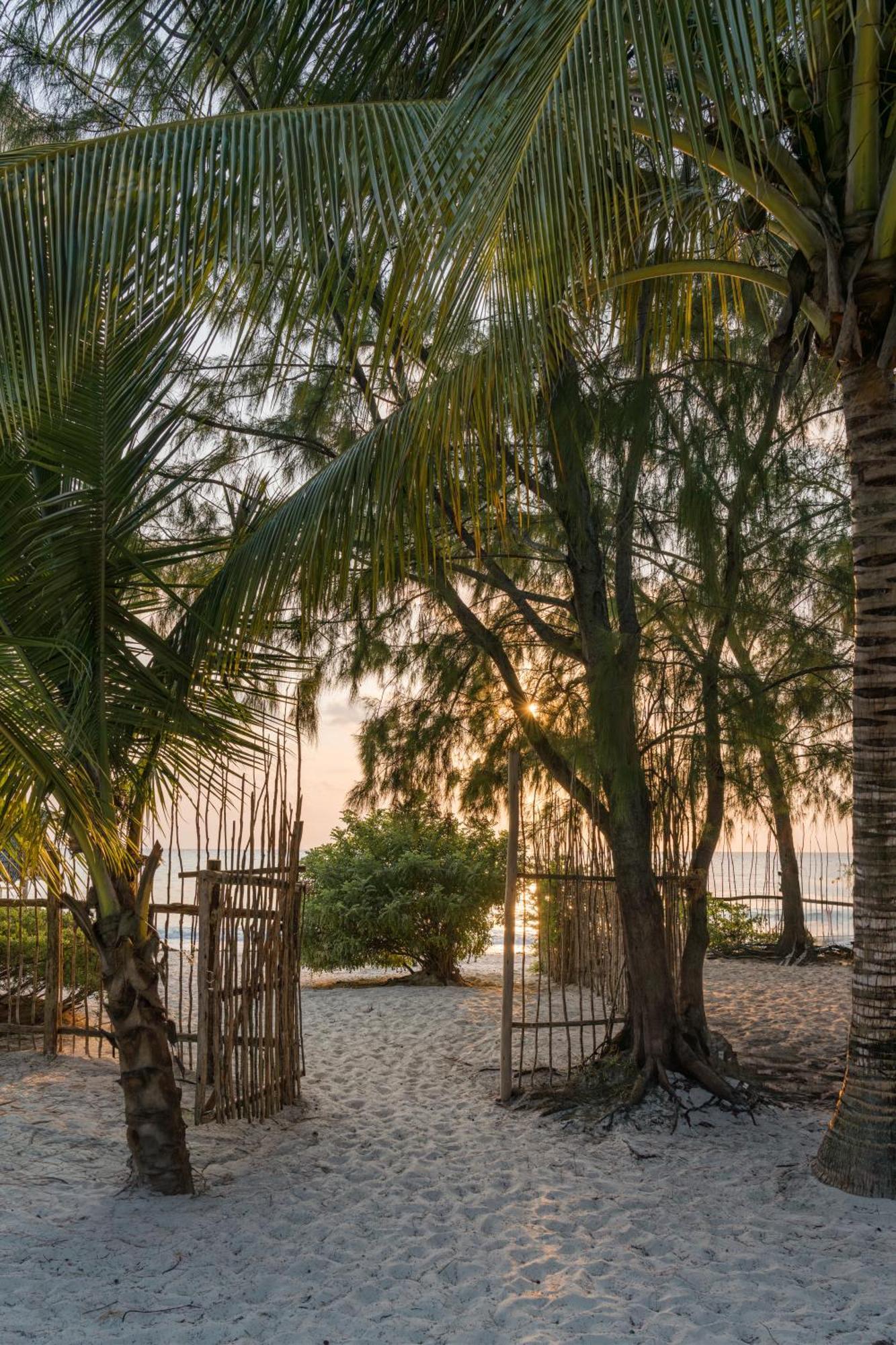 Mwezi Boutique Resort Jambiani  Esterno foto